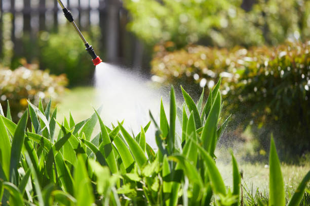 Tamper-Resistant Bait Stations for Rodents in San Jacinto